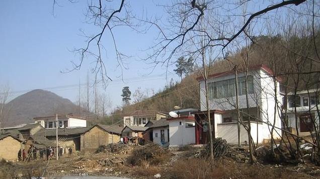 她跨越670年开启“寻根之路”：将来河南找答案｜回响2024