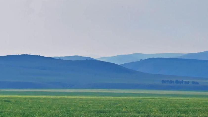 2025年最稳定10大“铁饭碗”，你家孩子入行了吗？1、第一名不是公务员；2、军队文职出现暴涨；3、