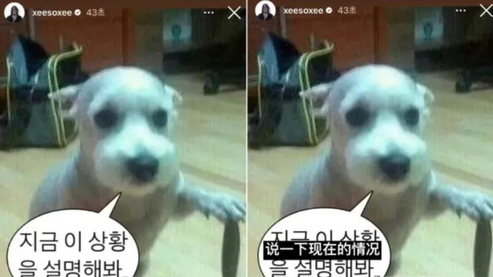韩素希分手后向柳俊烈道歉，官宣恋爱才两周，三重错崩裂了口碑