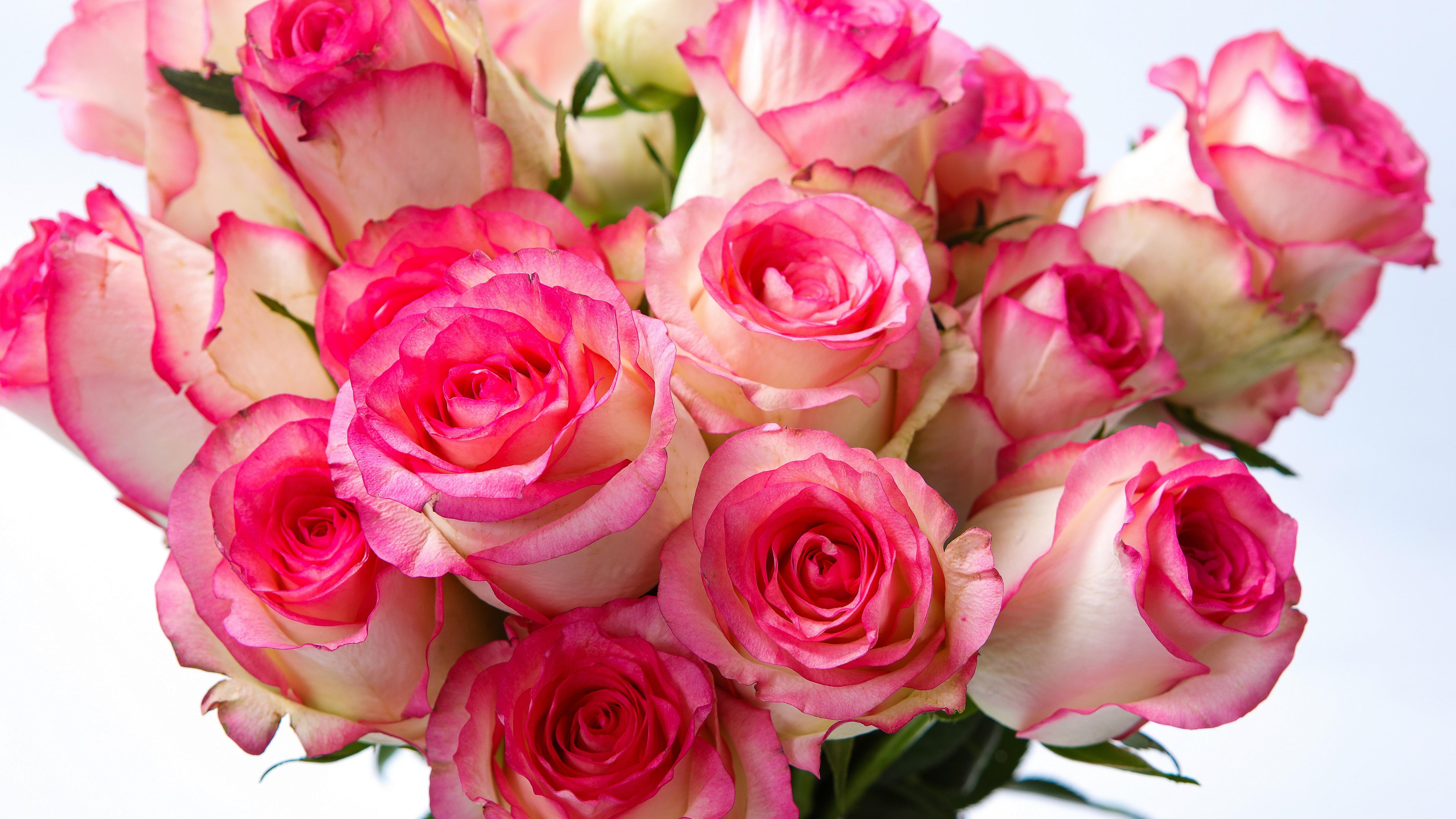 心近了，世界就小了