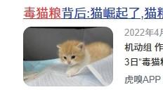 自制猫饭怎么做？自制猫饭七天食谱推荐，收藏这篇就够了！