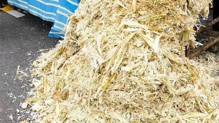 从餐桌到花园：探秘甘蔗渣制作营养土的全过程