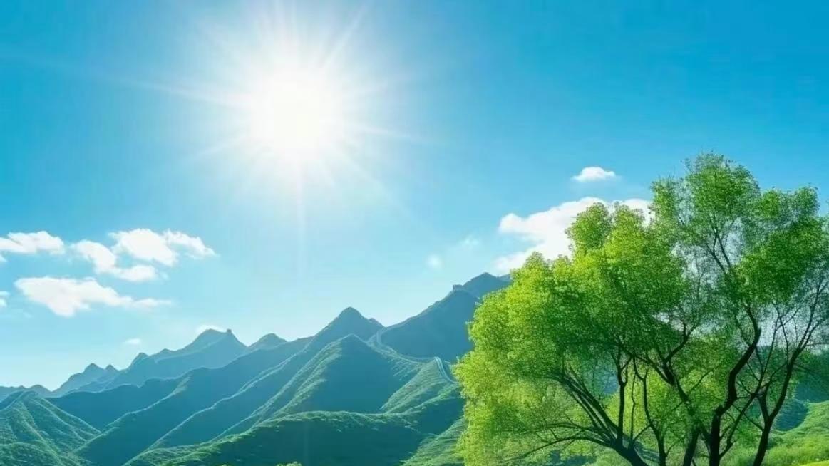 2025乙巳年通盛及生肖运势11月6日