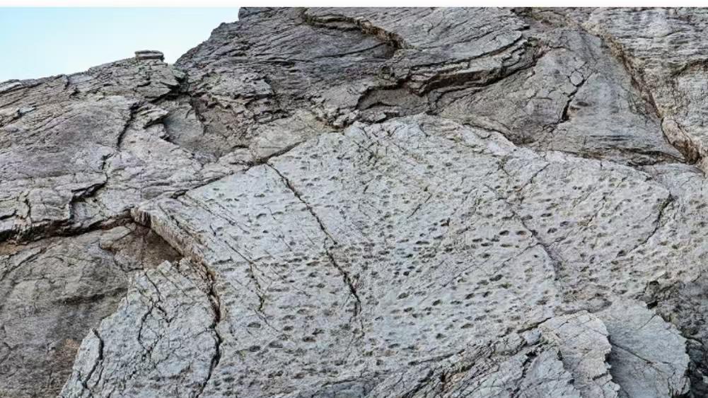 意大利发现大规模恐龙足迹群