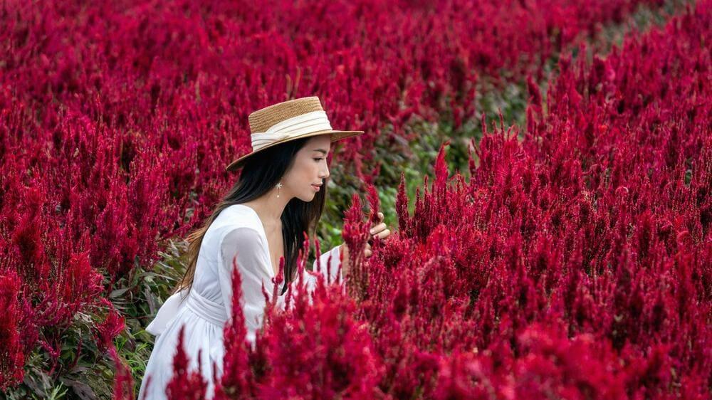 越南必去景点：10個最佳城市體驗文化、美食與冒險