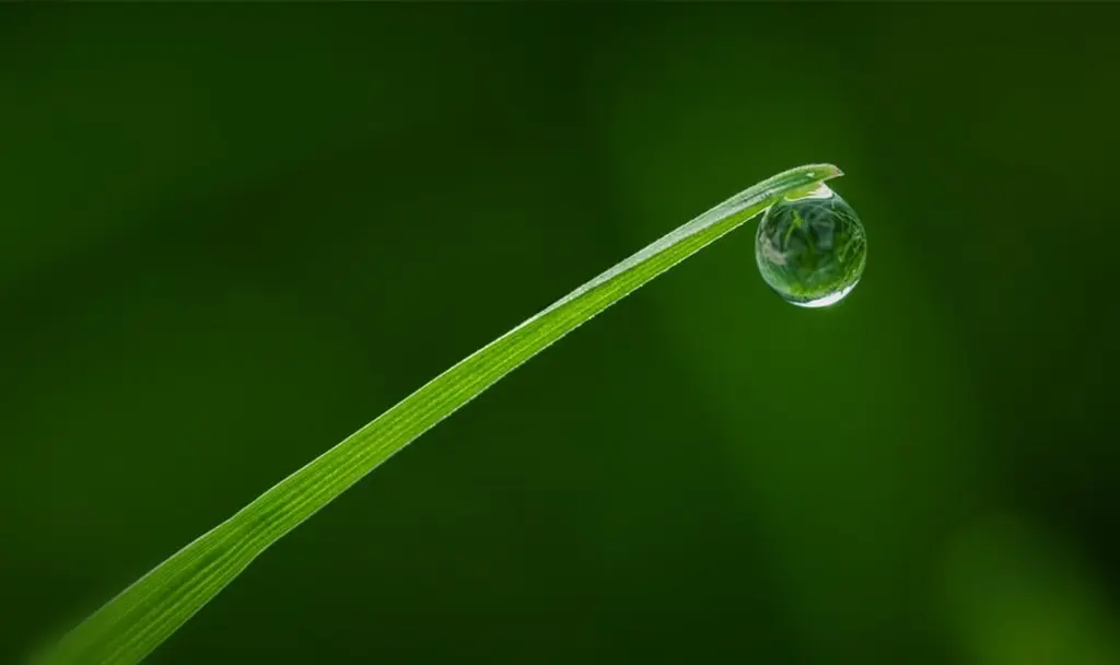 《​人类终极三问》山林子智觉道德文明自我效化教育书选粹四十二