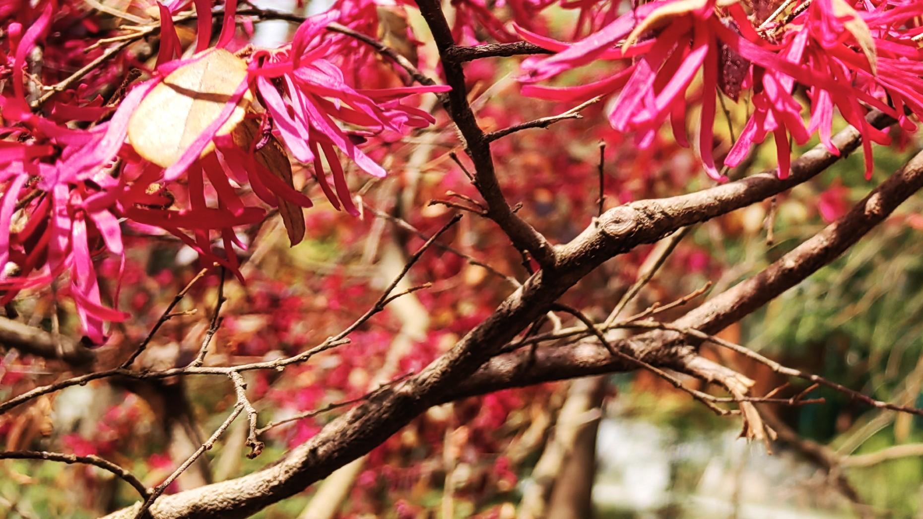 人在职场：建议之前，多想几遍