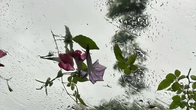 对方想和你