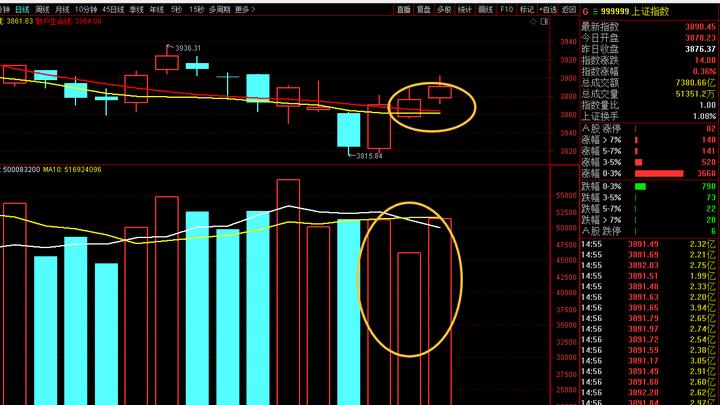 全职炒股！200万起步，第6个交易日，现在213万，雪人集团强势反包涨停，百大集团最高点止盈出局！