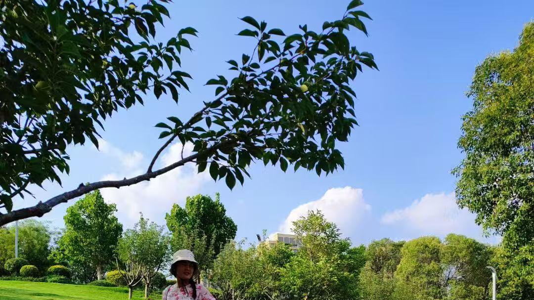 P人与J人的区别