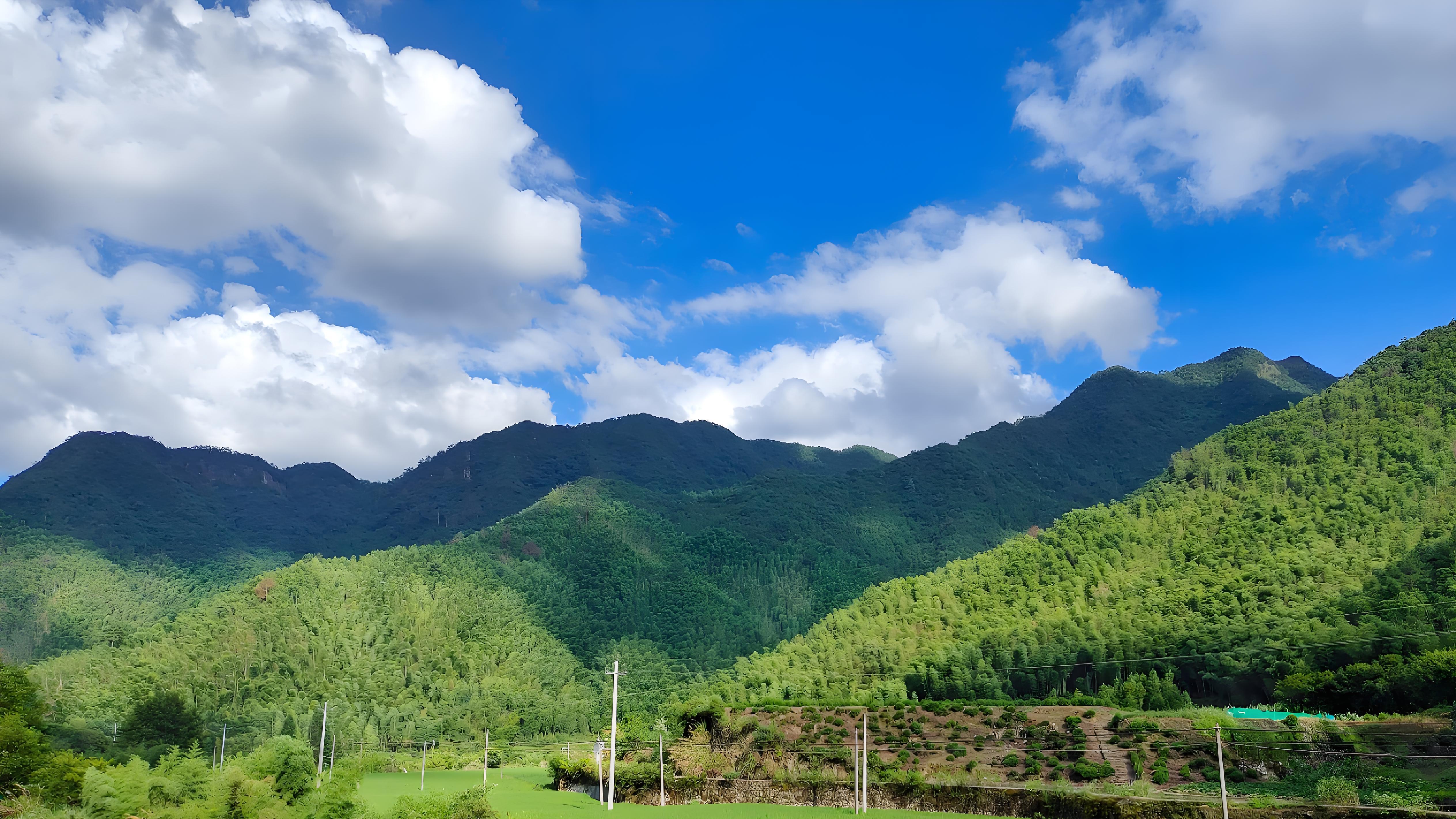 怎样查全一个方向的文献？