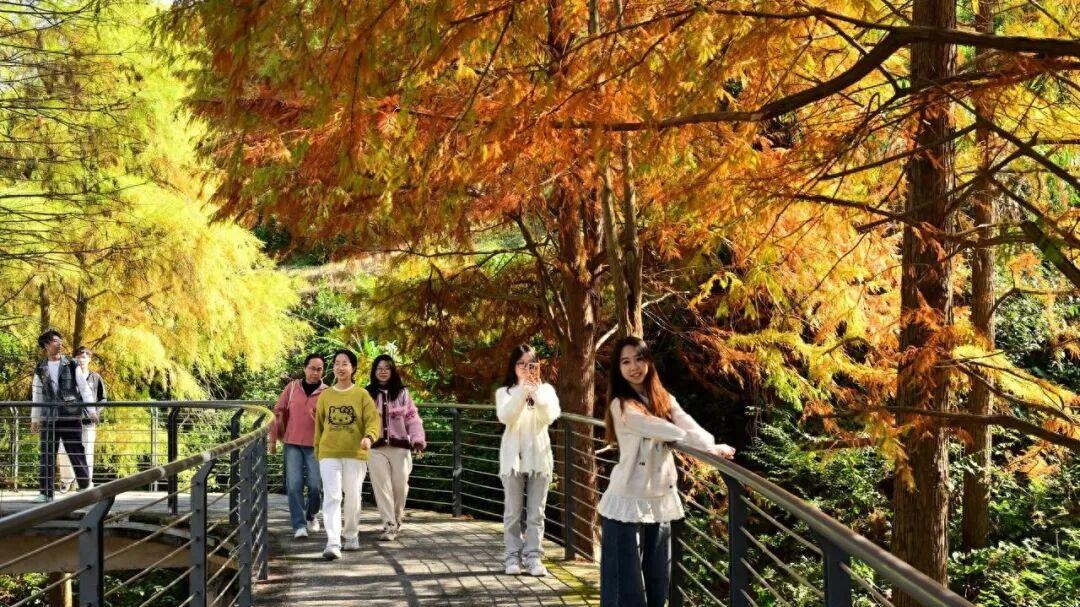 退休后才懂：家庭最好的风水，是“养”出来的