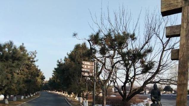 吉林省长春市朝阳沟国家公墓里的中国名人