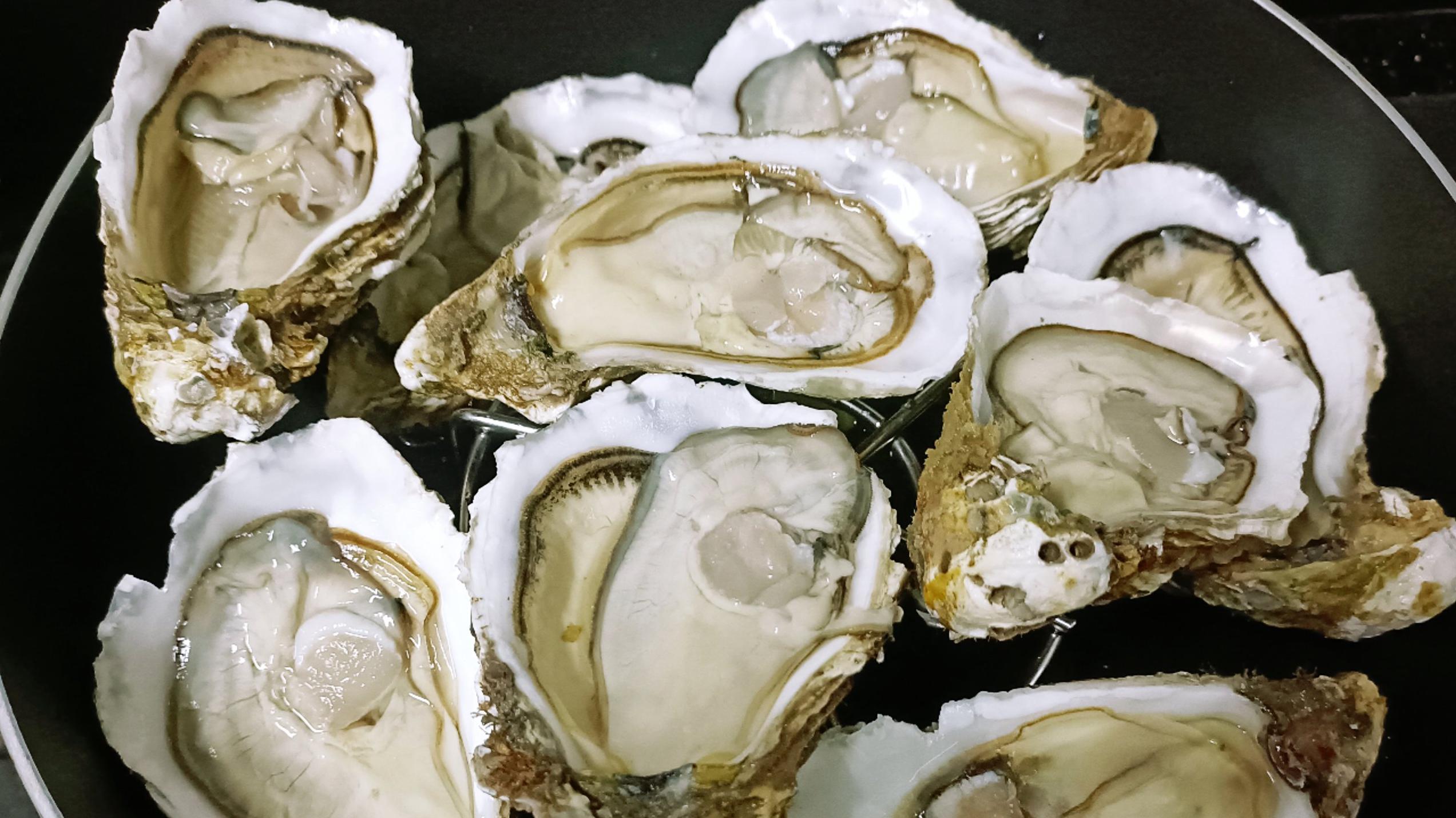 生蚝和牡蛎：为什么名字不一样但看起来一样？