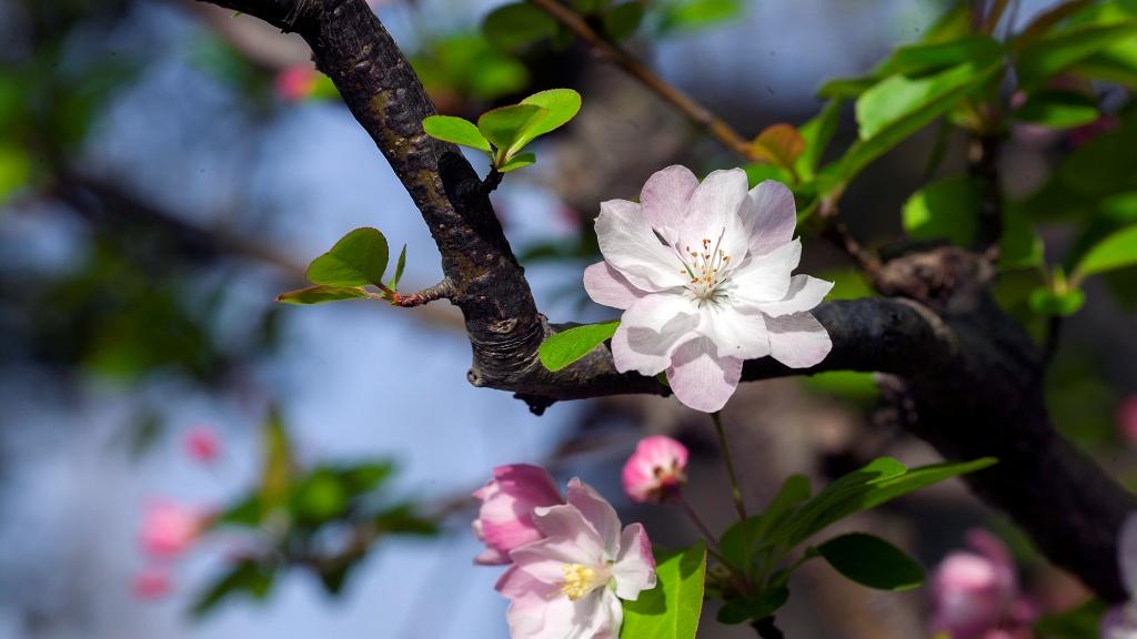 《石羊镇的海》：人生锁事