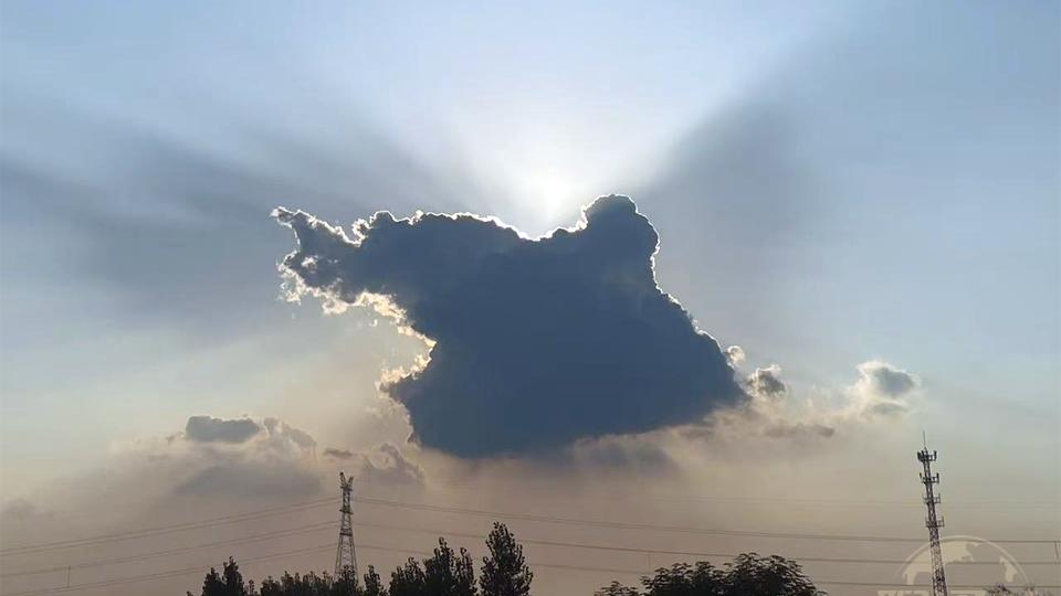 她到底是谁？奔驰女司机亮证风波迷雾重重！真相姗姗来迟