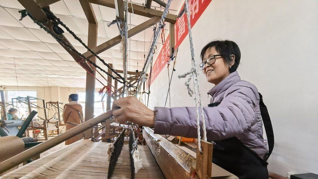 我的建议落地了丨全国人大代表崔雪琴：知识产权司法保护基地入驻专业合作社