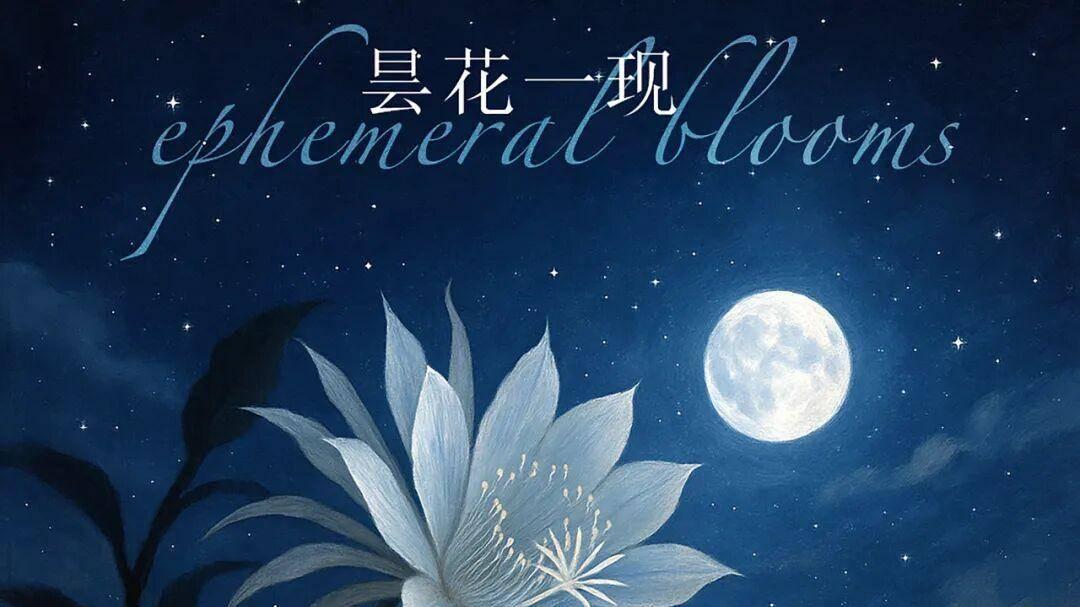 徐磊乐全新单曲《昙花一现》温暖上线，以音乐诠释刹那永恒的静美哲学