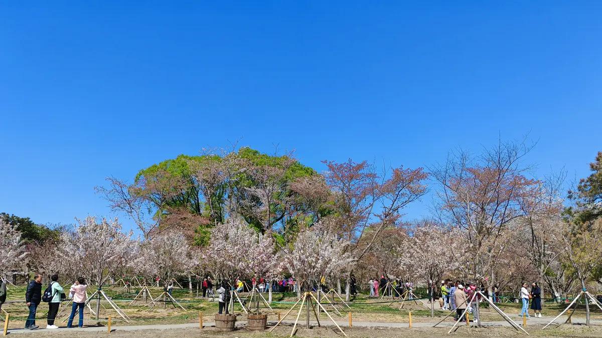 从容生活，向阳而生
