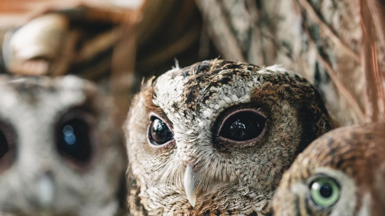 准到吓人的29个精准识人术！