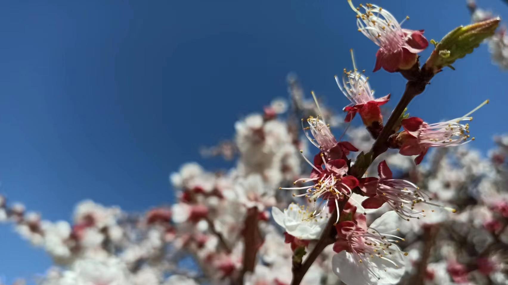 2025：自媒体大转型，很多卖课的都黄了，但“黄金时代”才刚开始