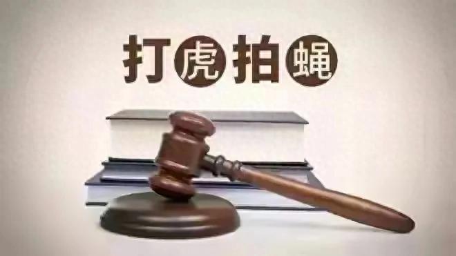 今日多人被查，有市长、公安局局长等，苍蝇老虎一起拍绝不姑息！