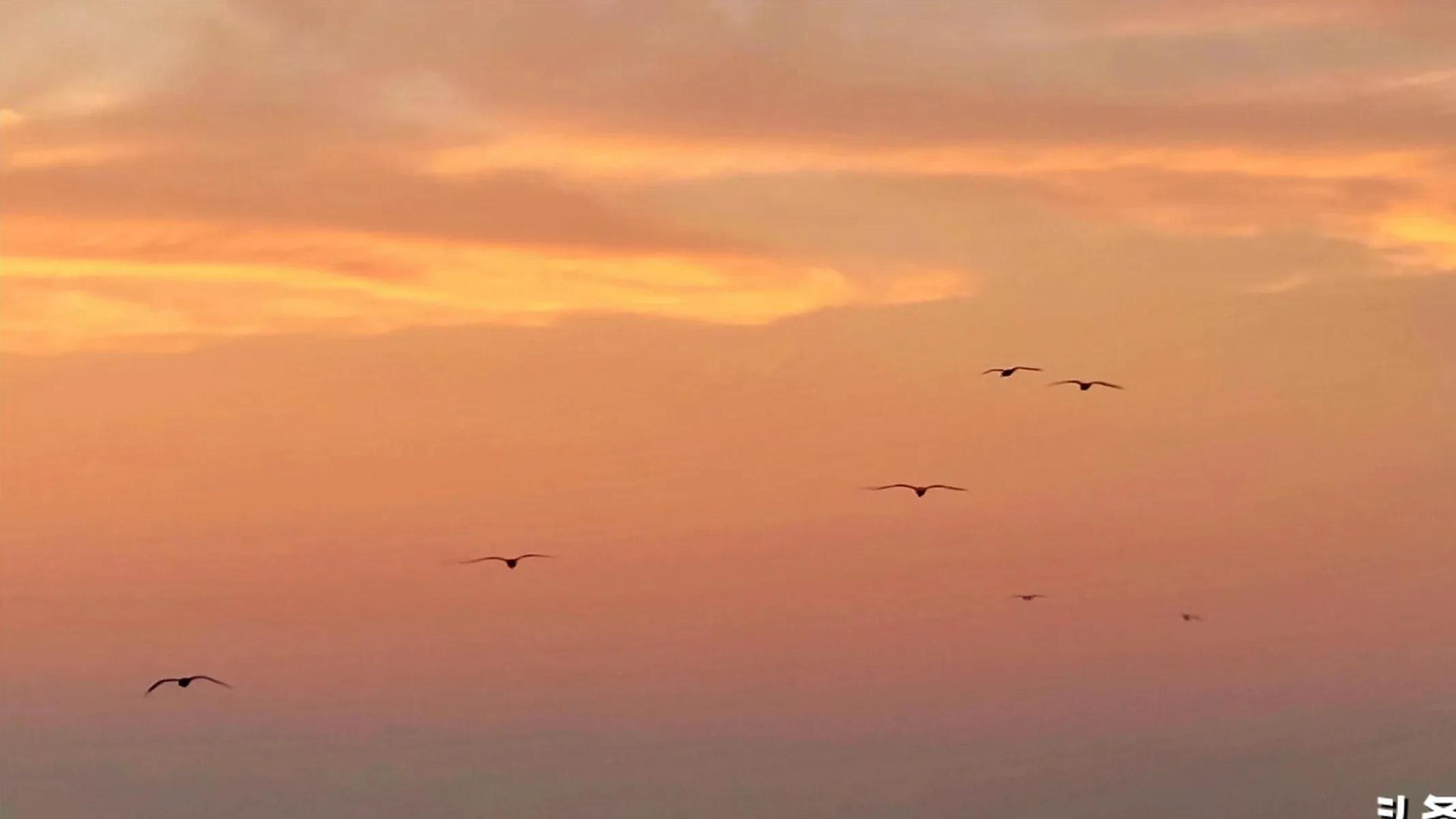 为什么女船员对公司一把手船东的态度发生变化？