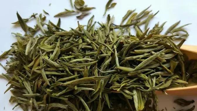 黄茶品质形成的关键工序：闷黄