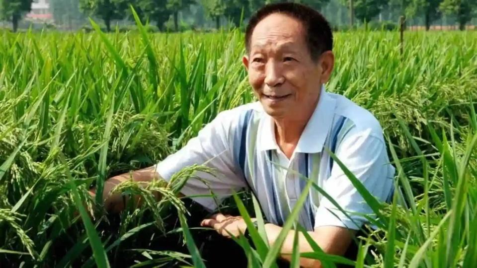 钱学森和袁隆平，谁的知名度更高？