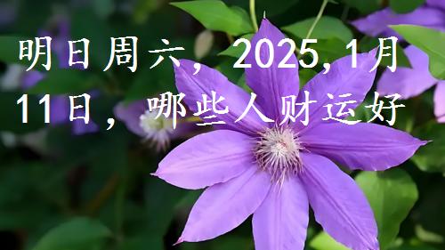 明日周六，2025,1月11日，哪些人财运好