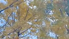 妈妈抛弃我30年，凭什么现在让我原谅？