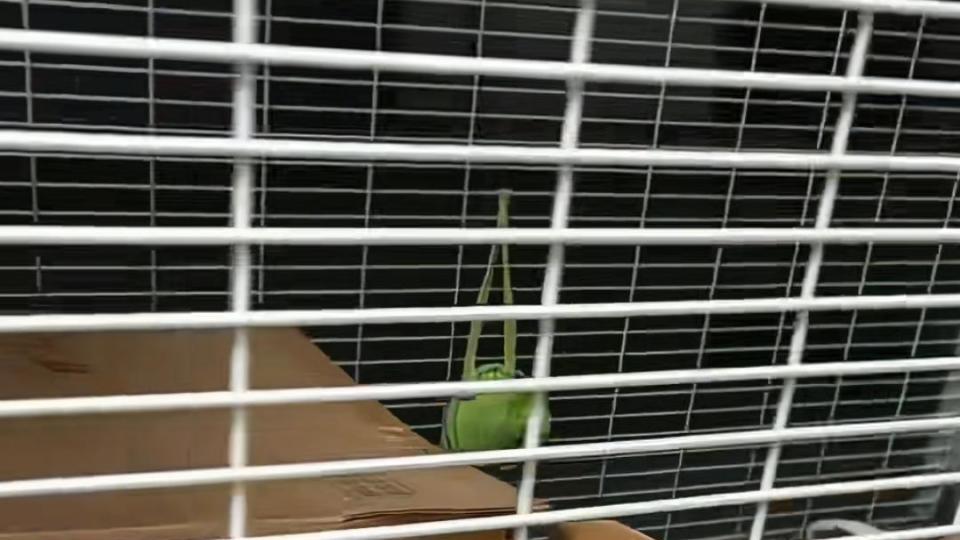 50只流浪猫狗的十年暖冬：这家4S店老板把爱心修成了“温暖产业链”