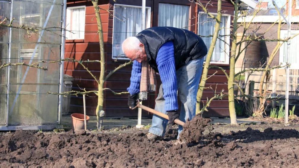 养老金体系改革！荷兰最大养老管理机构裁员千人，以求更快更高效