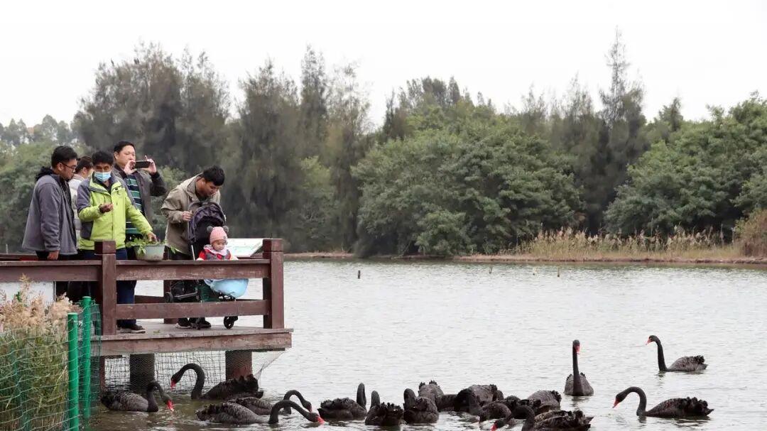 退休后不用太勤快！学会这 3 种 “懒”，晚年福气蹭蹭涨