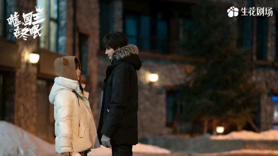 《嘘国王在冬眠》大结局：卫枝单崇领证，意外怀孕引轰动，单善暗恋回顾，才知戴铎为什么倒贴！