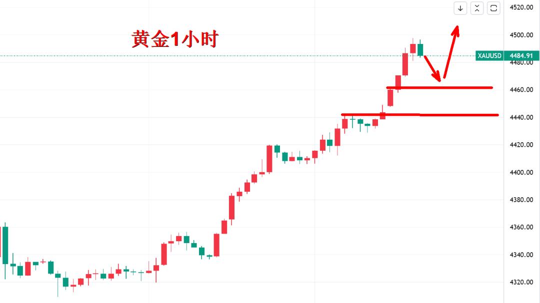 黄金正式进行4位数时代！1000元/克