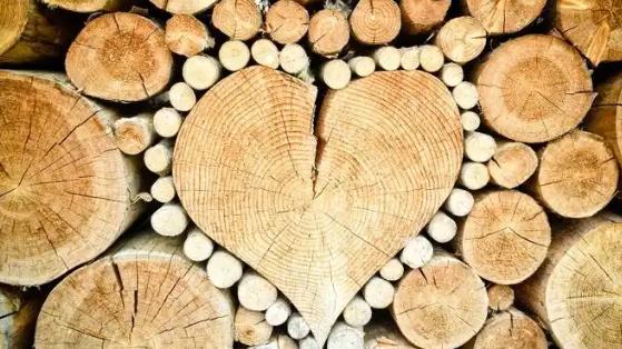 告别选择困难！业内口碑领先的实木家具加工厂盘点