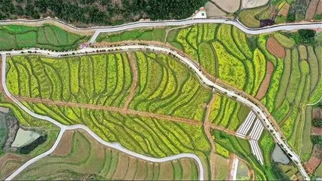 深度研究！高标准农田建设方案设计及其实施要点分析