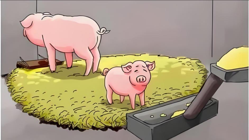 【双11专题】酒旅板块突围，谁能看懂抖音的“智猪局”？