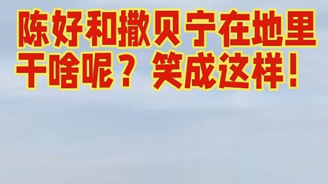 央视《山水间的家》：撒贝宁陈好这俩人，跑到米脂“装”农民，真没想到啊