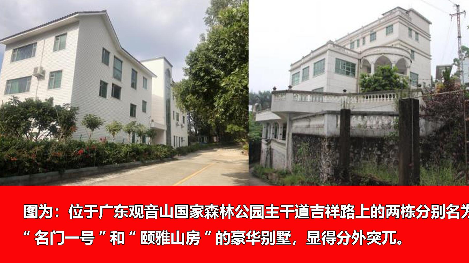 权威专家：广东省应该出手解决“观音山事件”了