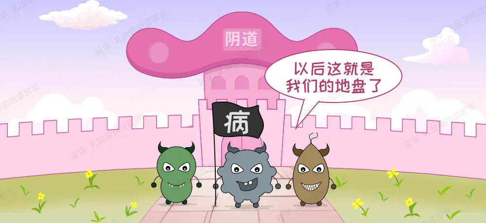 混合性阴道炎为什么难根治