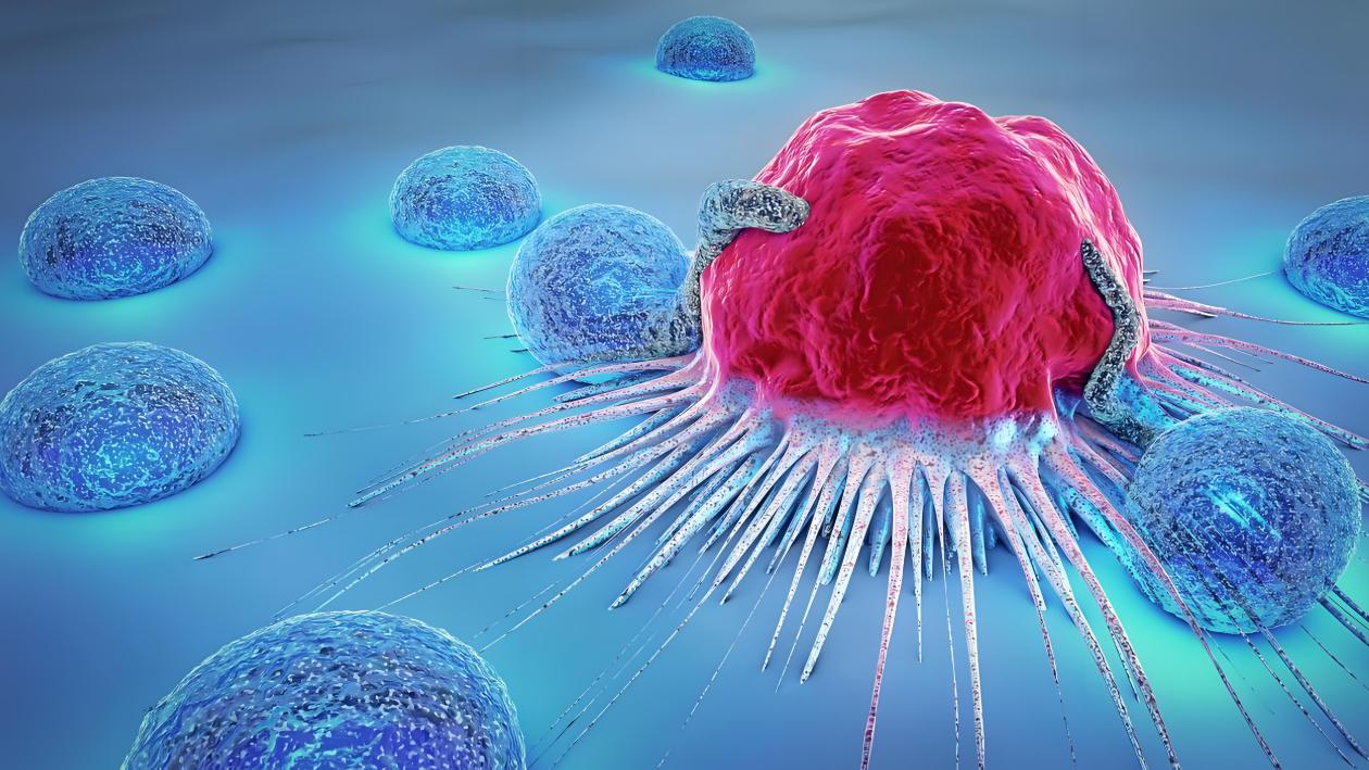 焦虑与失眠如何“侵蚀”年轻女性的免疫力？科学揭示免疫细胞受损真相