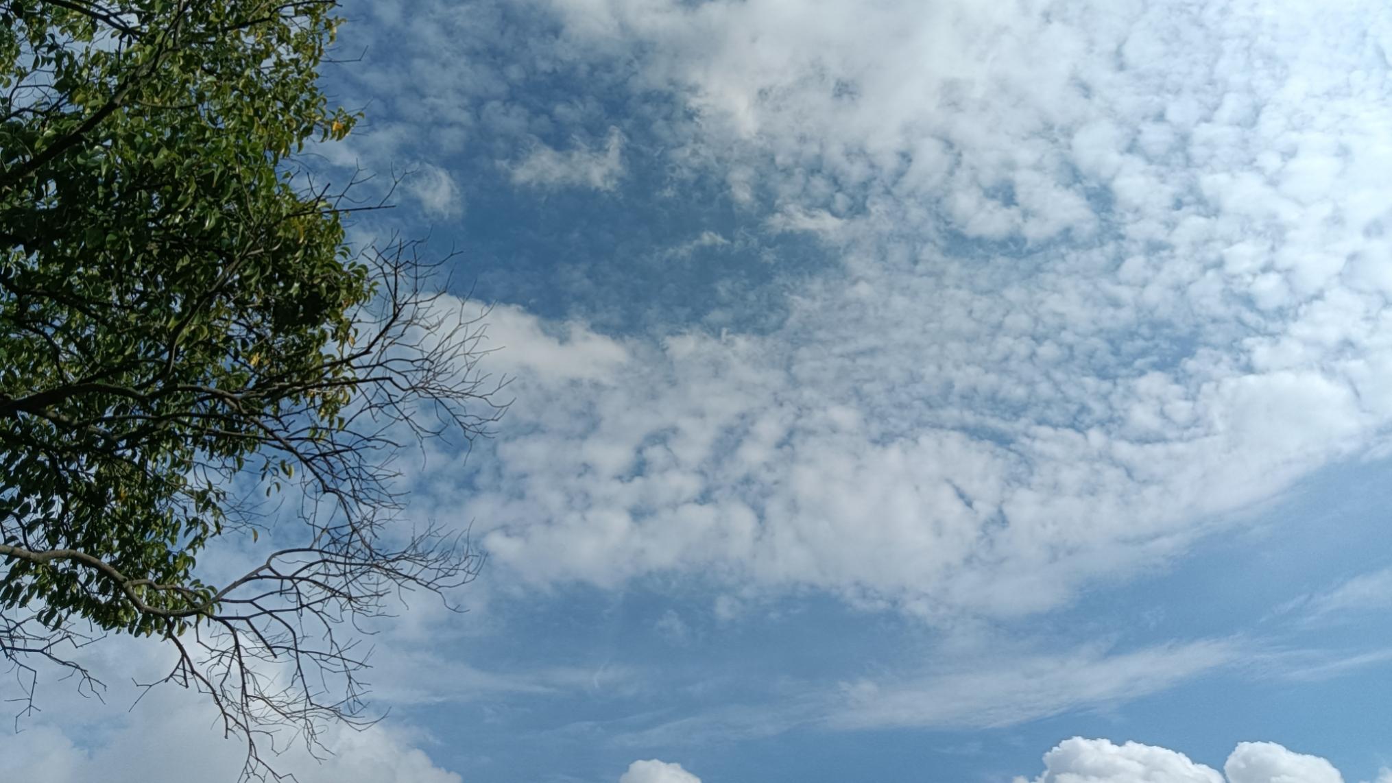 总是以地方财力不足为借口执行教师中高级职称最低档是很不正常的