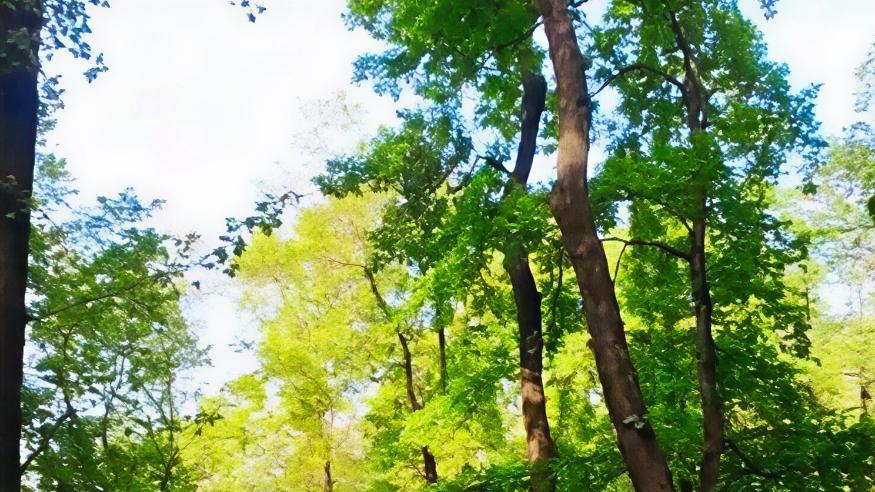 安徽铜陵5A级永泉小镇，令人朝思暮想的景点！