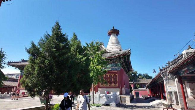 《最美中轴线》直播：张嘉元探秘白塔寺，追溯古塔的岁月回响