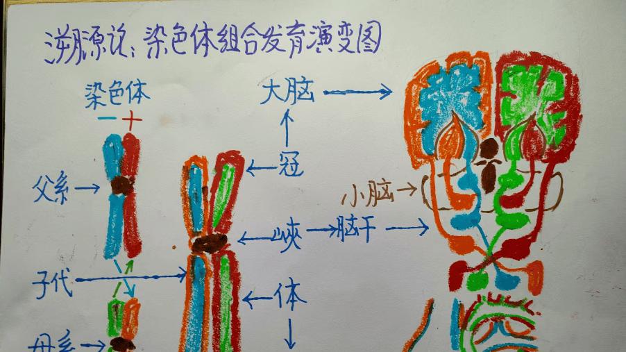 蛊毒索魂之重返遥远的外星故乡（下）