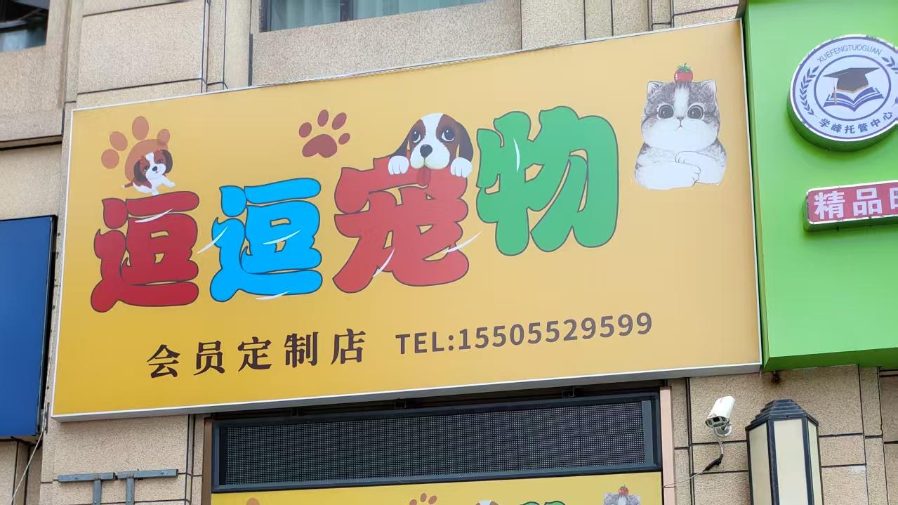 从洗护到寄养：蚌埠逗逗宠物如何做到服务闭环？