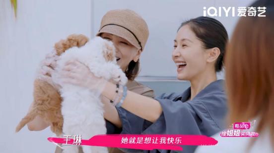 诠释人间三情，破局职场困境！《姐姐当家》呈现中女生活缩影