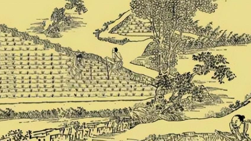 青铜律简里的真相， 重估商鞅变法的历史坐标